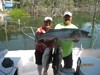 (07/08/2017) - Nice Striped Bass